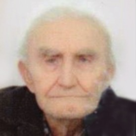 Alija Kadrispahić
