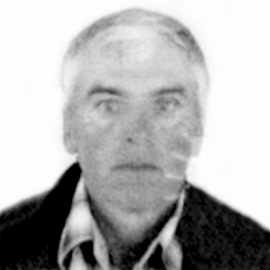 Zulfo Masleša