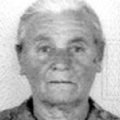 Iva Kožul