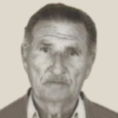 Nikola Jović