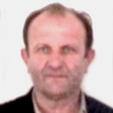 Tadija Pavlović