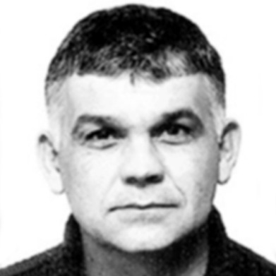 Stjepan Milić