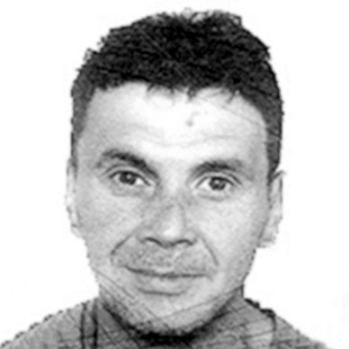 Milenko Ališić