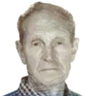 Vlado Cvetković