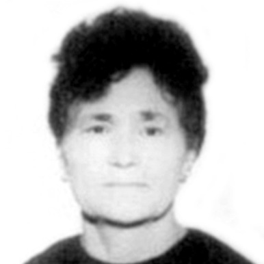 Matija Nikolić
