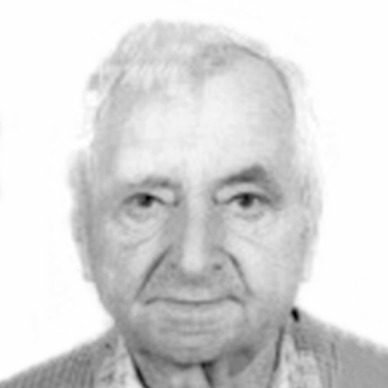 Miroslav Brkić