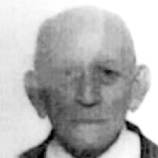 Frano Mamić