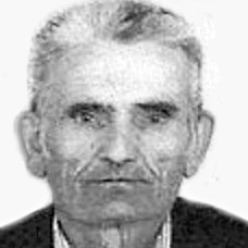 Darinko Šimić