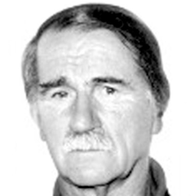 Suljo Šaškinović