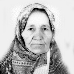 Džehva Šljivo
