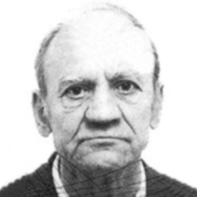 Luiđi Usanović