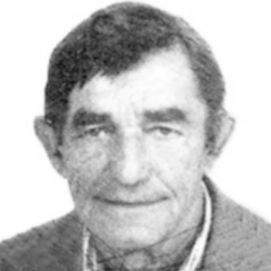 Ante Anić