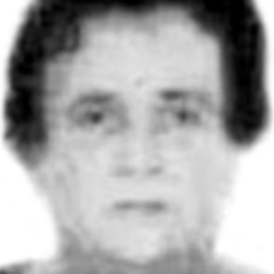 Radojka Zejak
