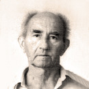 Ante Pavić
