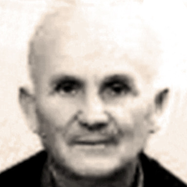 Ante Dželalija