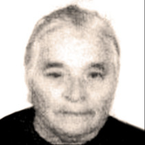 Bara Konjušić