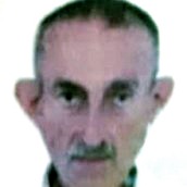 Rade Kokić