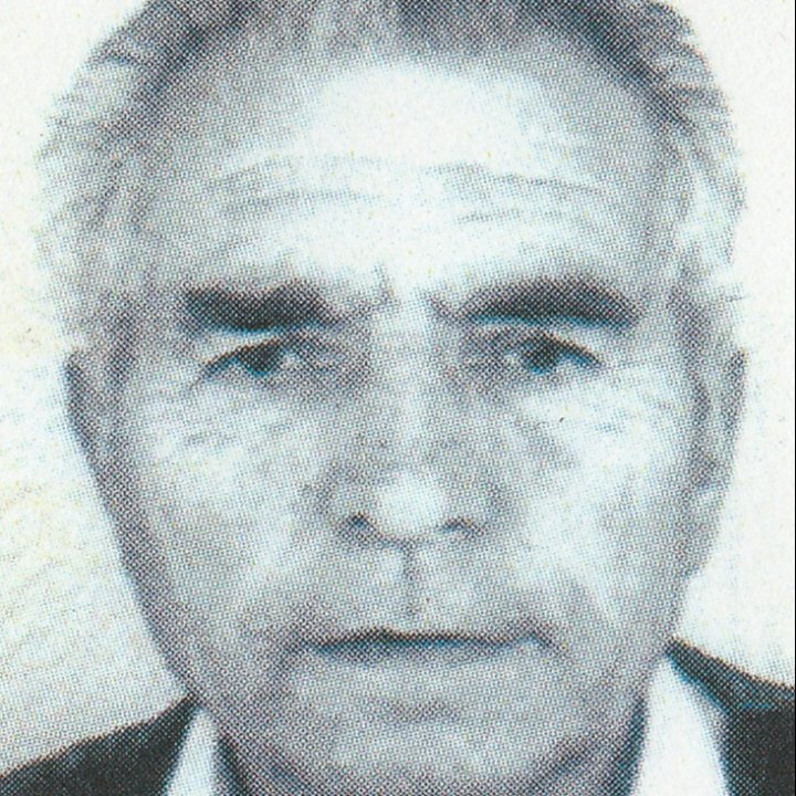 Jozo Galić