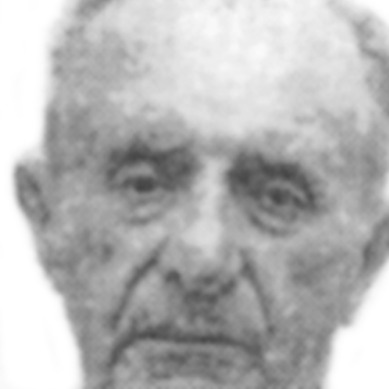 Milan Dobrović