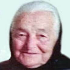 Ruža Ćuže