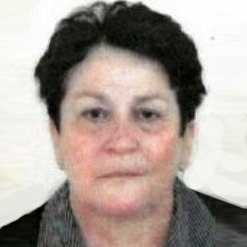 Đemila Bajrektarević