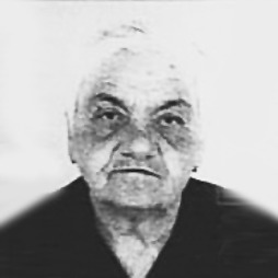 Boja Sučić