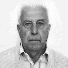 Avdo Šovšić