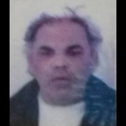 Vuk Mijanović