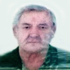 Savo Kolak