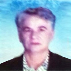 Dragica Milojević