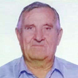 Radomir Mišeljić