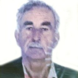 Šćepan Janjić