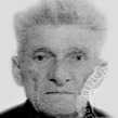 Grgo Vukoja