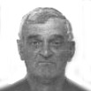 Stipe Mišić