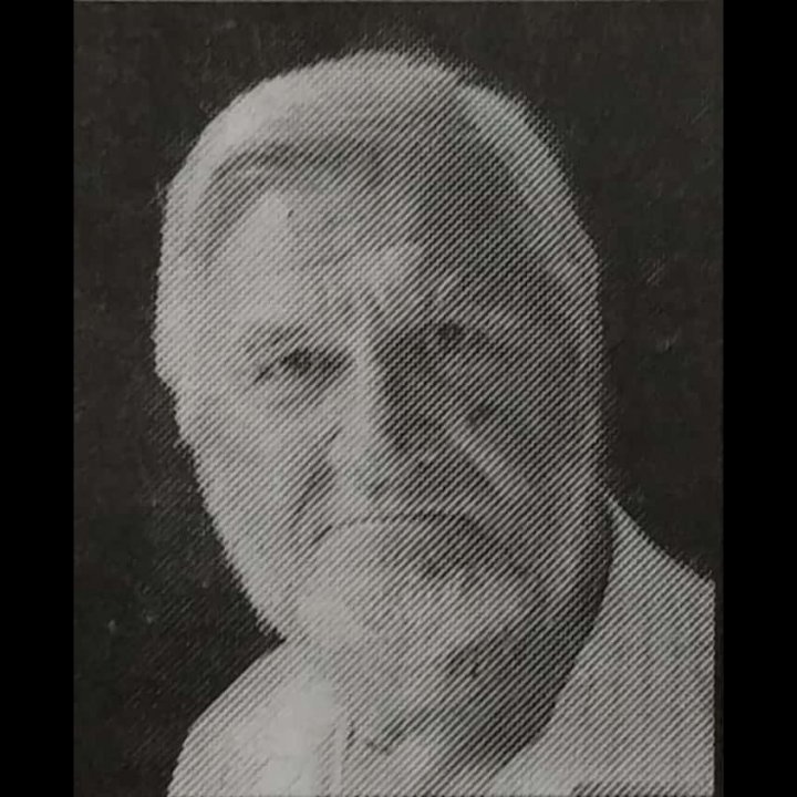 Radoslav Ranisavljević