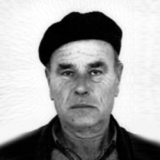 Abdurahman Alihodžić