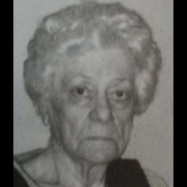 Vera Hrkalović