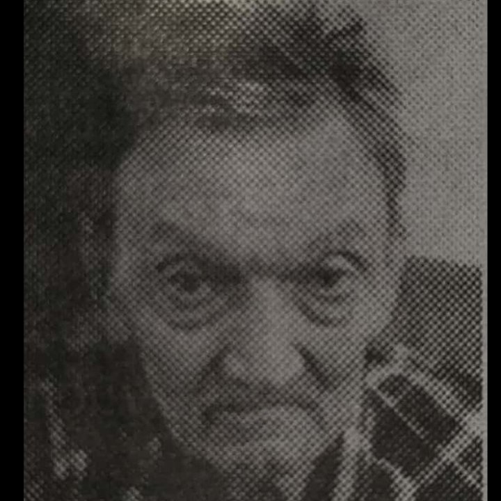 Paja Veselinović