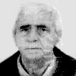 Momčilo Lojović