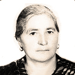 Iva Roguljić