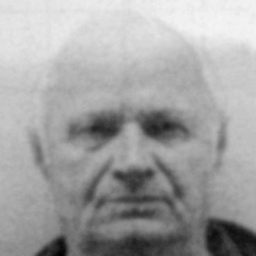 Todor Bjegović