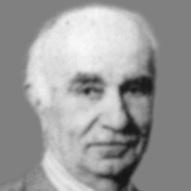 Nikola Divljan