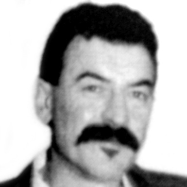 Nenad Dimitrijević
