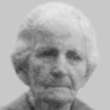 Ljubica Vukelić