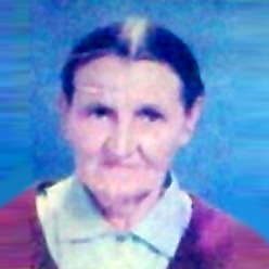 Darinka Novaković