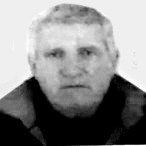 Ismet (Selim) Hanjalić