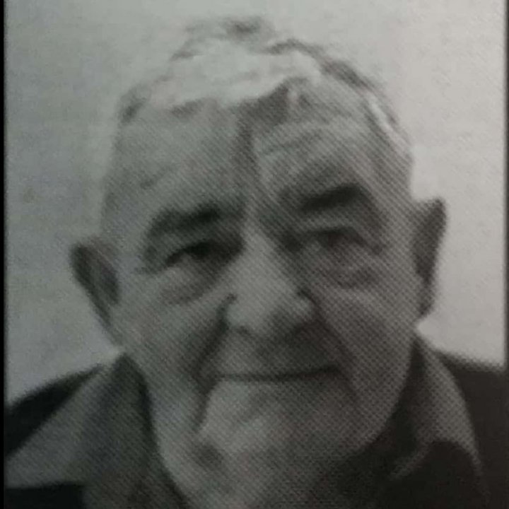 Đoka Paunović