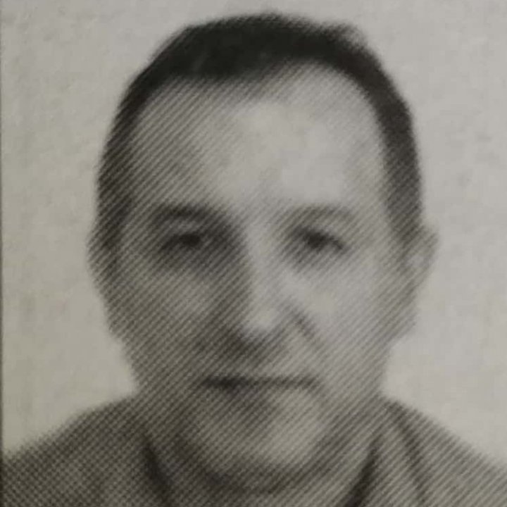 Dejan Veličković
