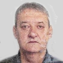 Albin (Svetislava) Ilić