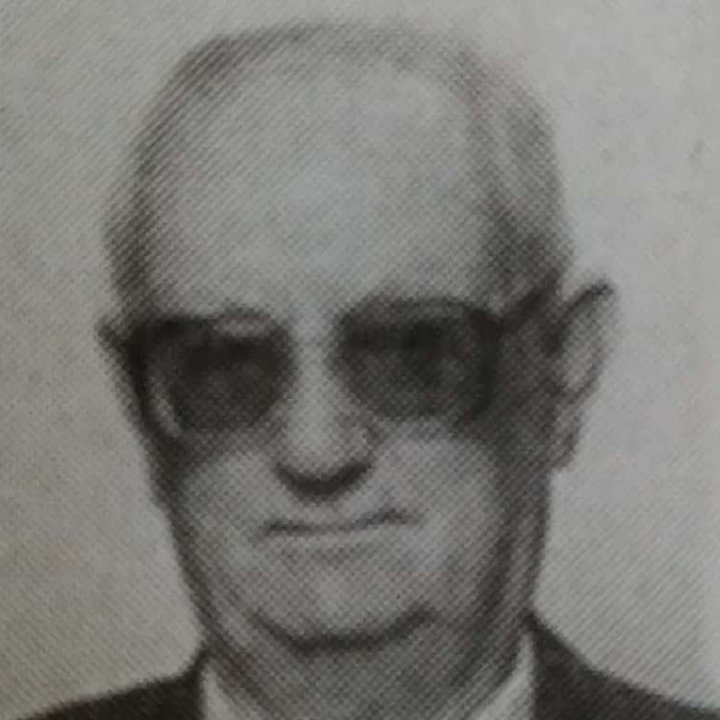 Milutin Vulović